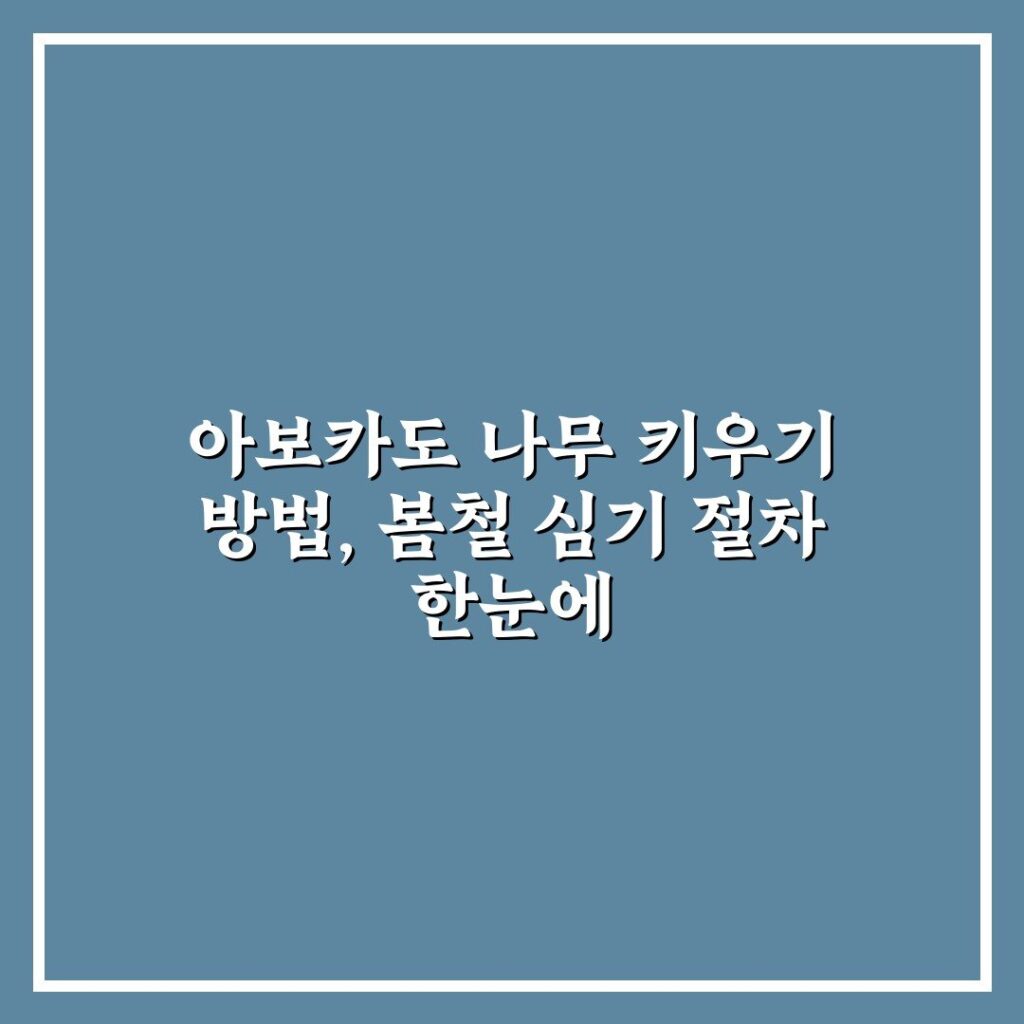 아보카도 나무 키우기 방법, 봄철 심기 절차 한눈에