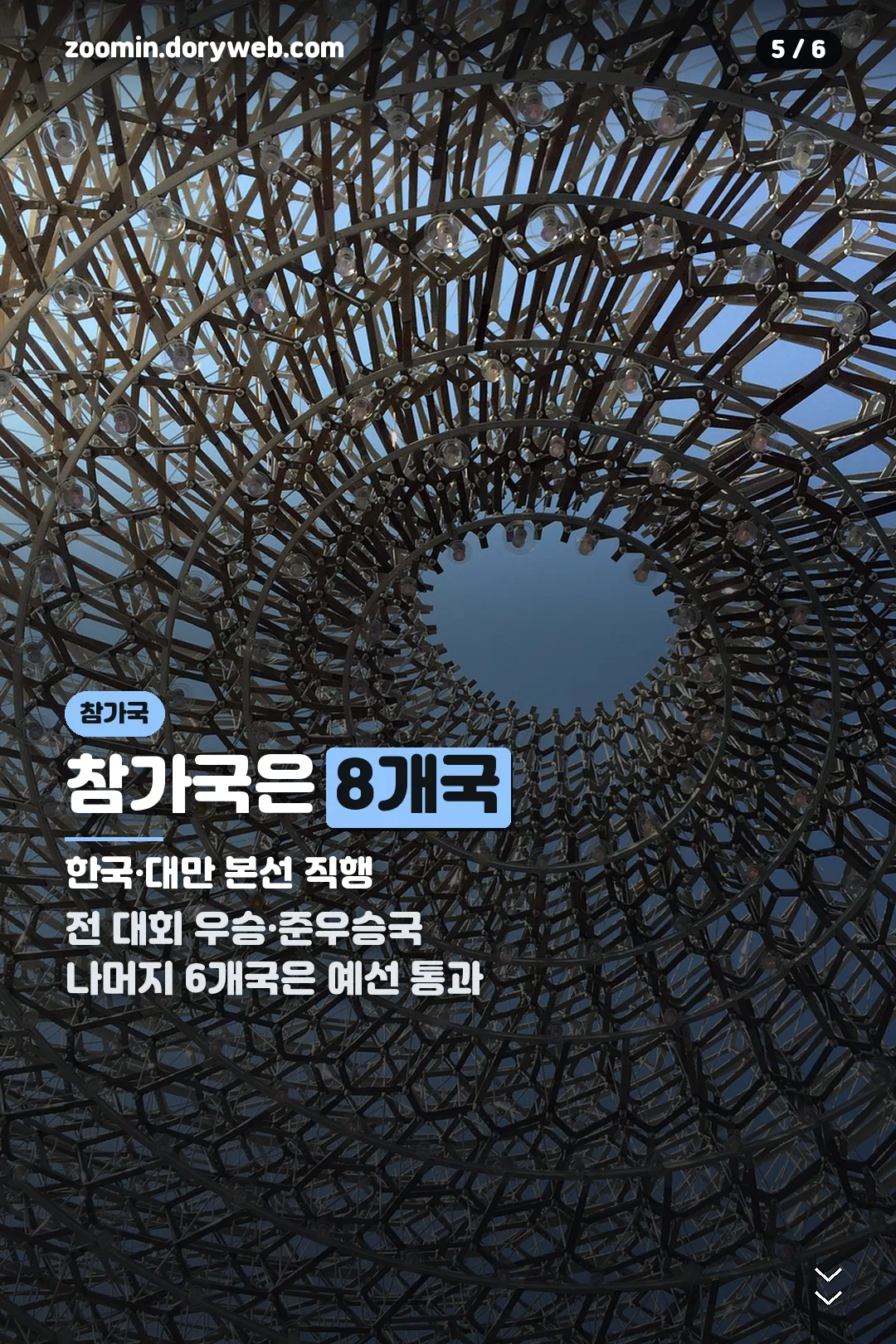 참가국 8개국