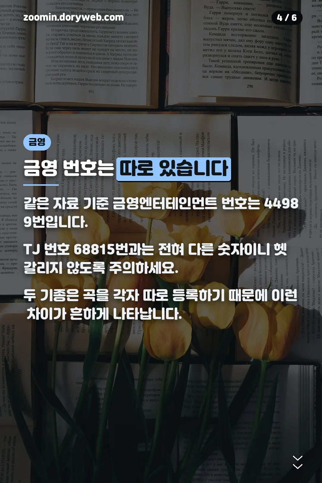 금영 노래방 번호 44989