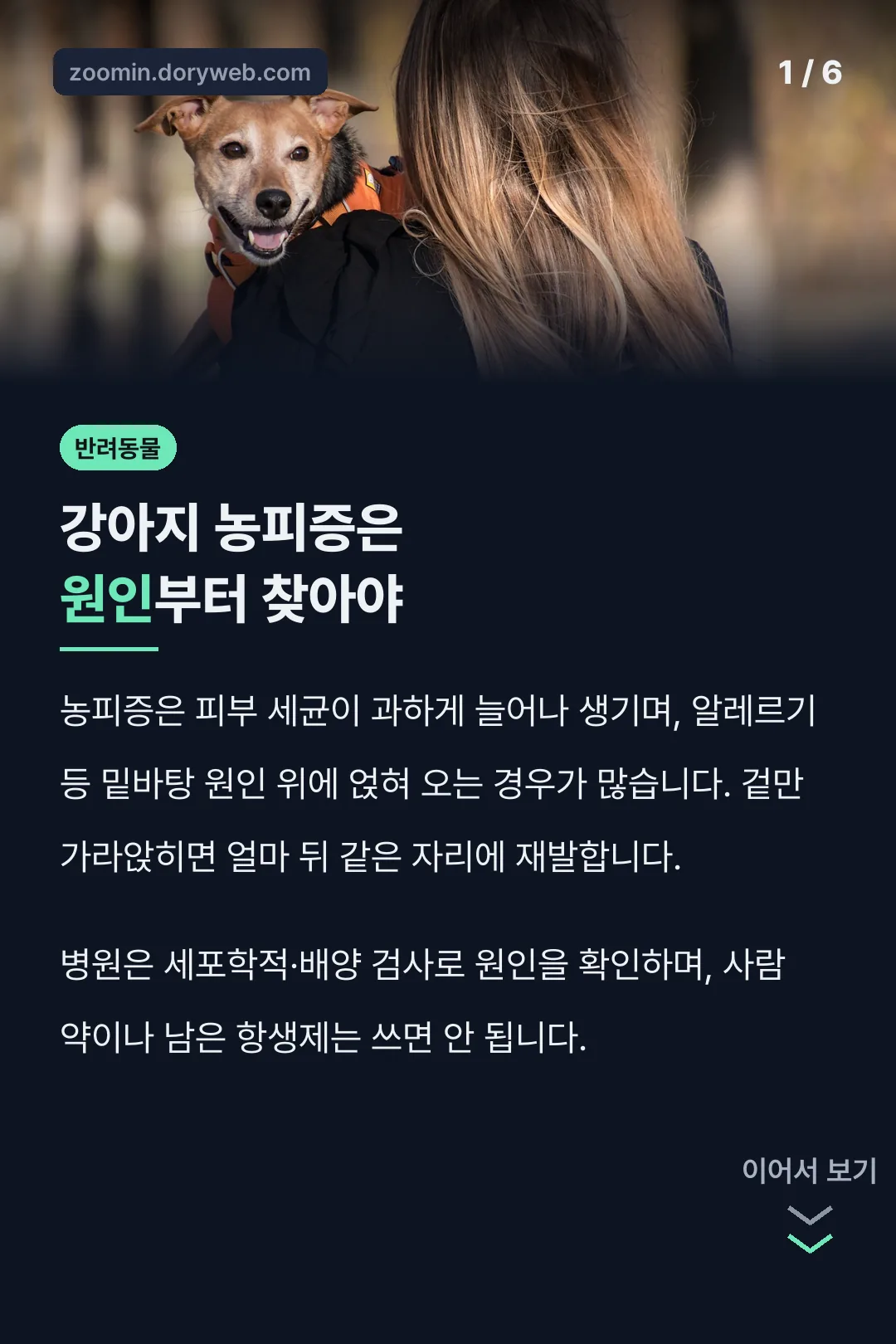 강아지 농피증은 원인부터 찾아야