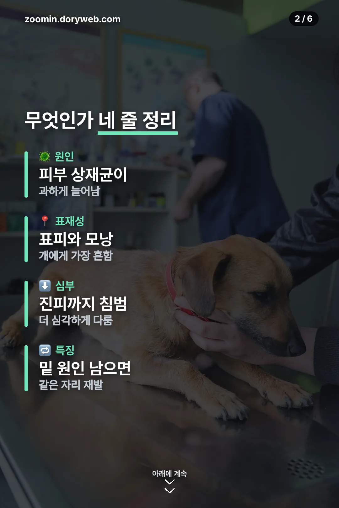 농피증 정의 정리