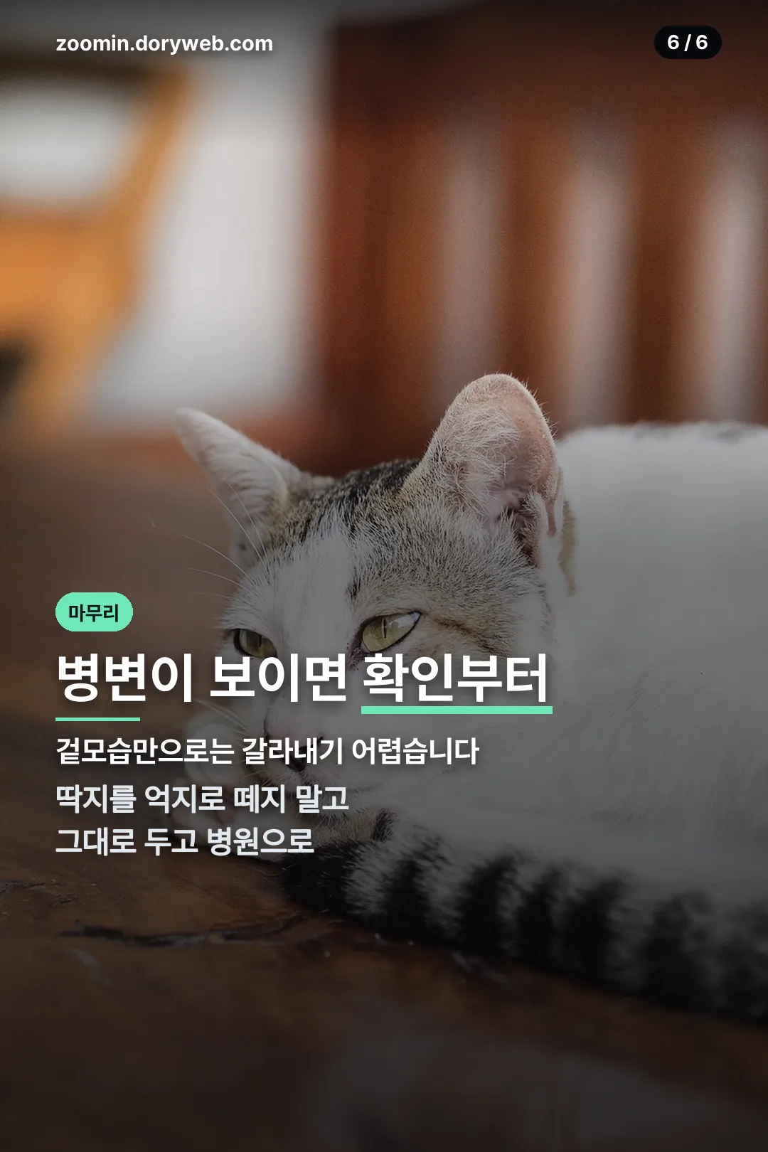 진료 안내 마무리