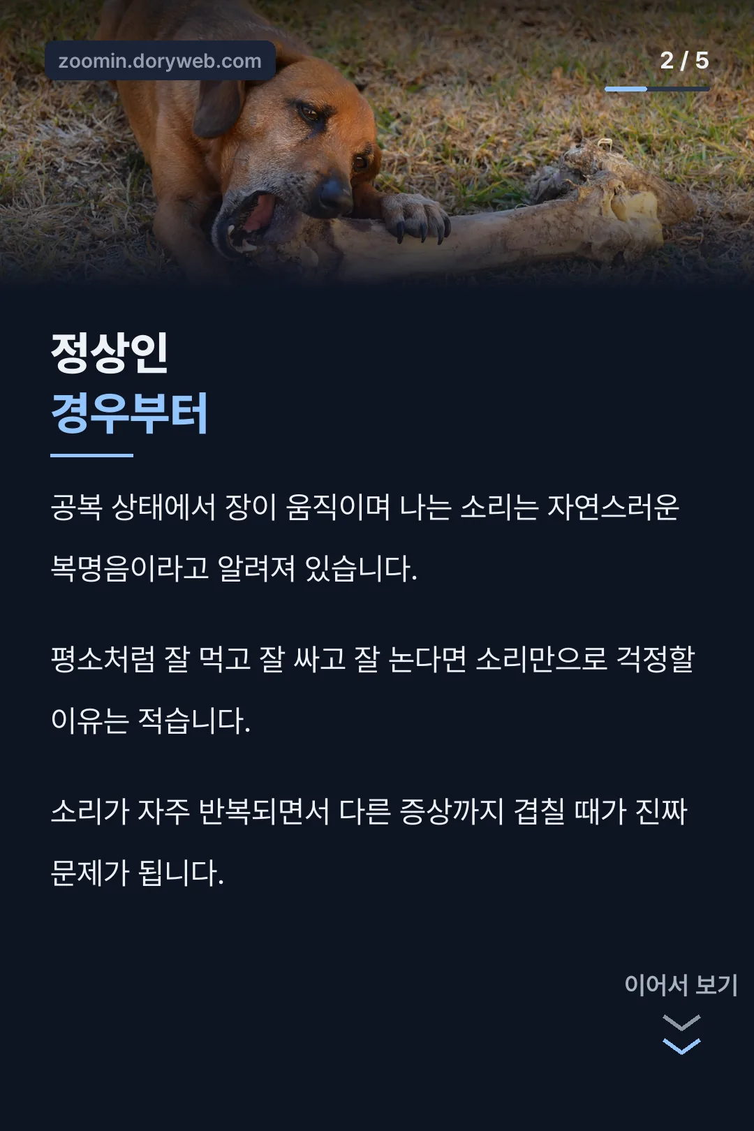 정상인 경우 설명