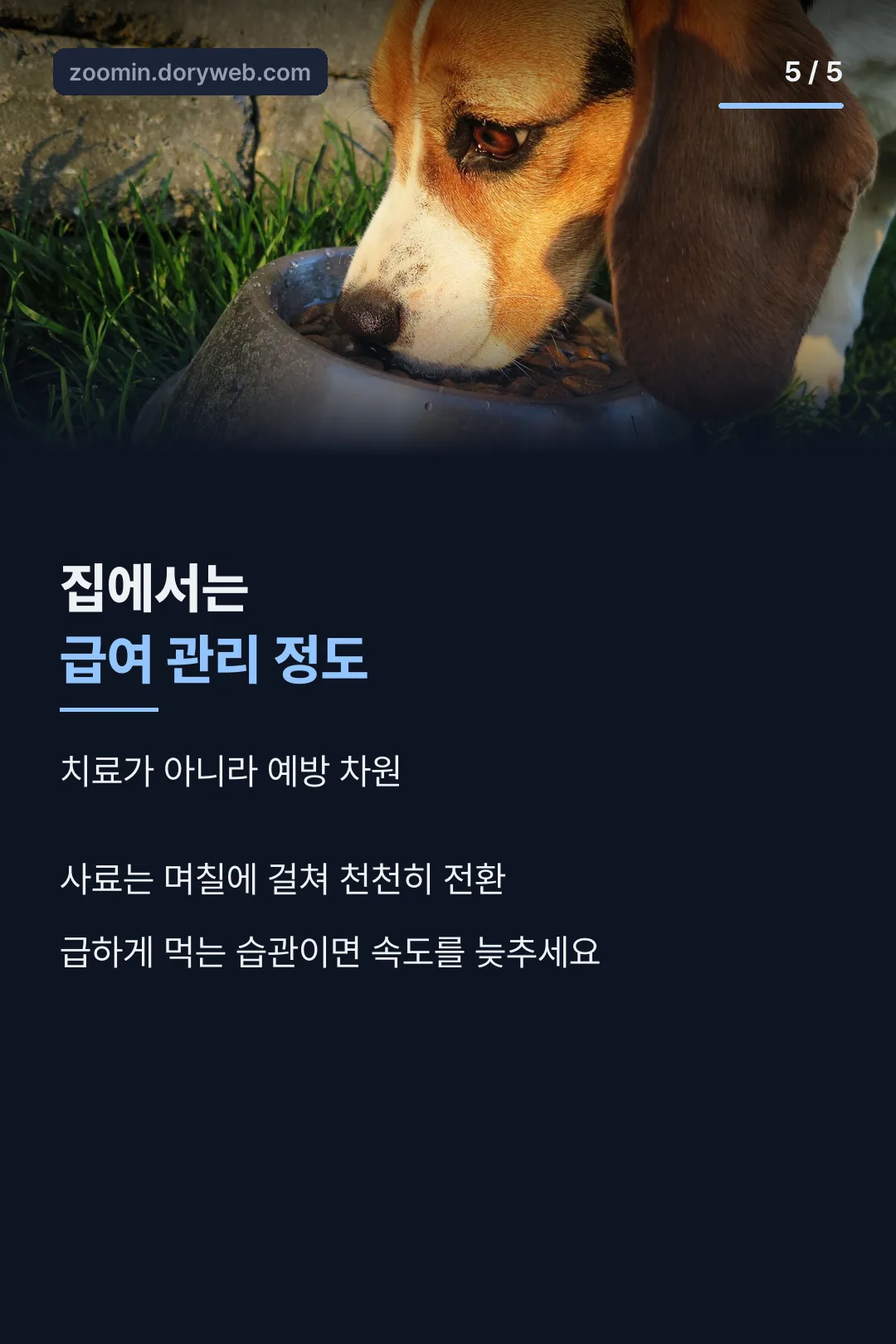 급여 관리 안내