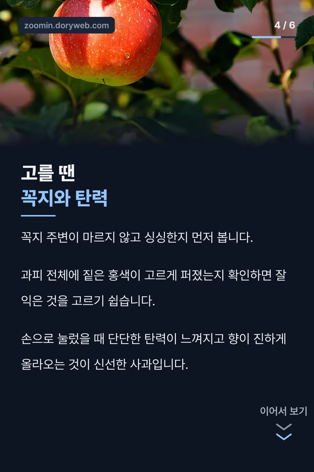 홍로사과 고르는 법