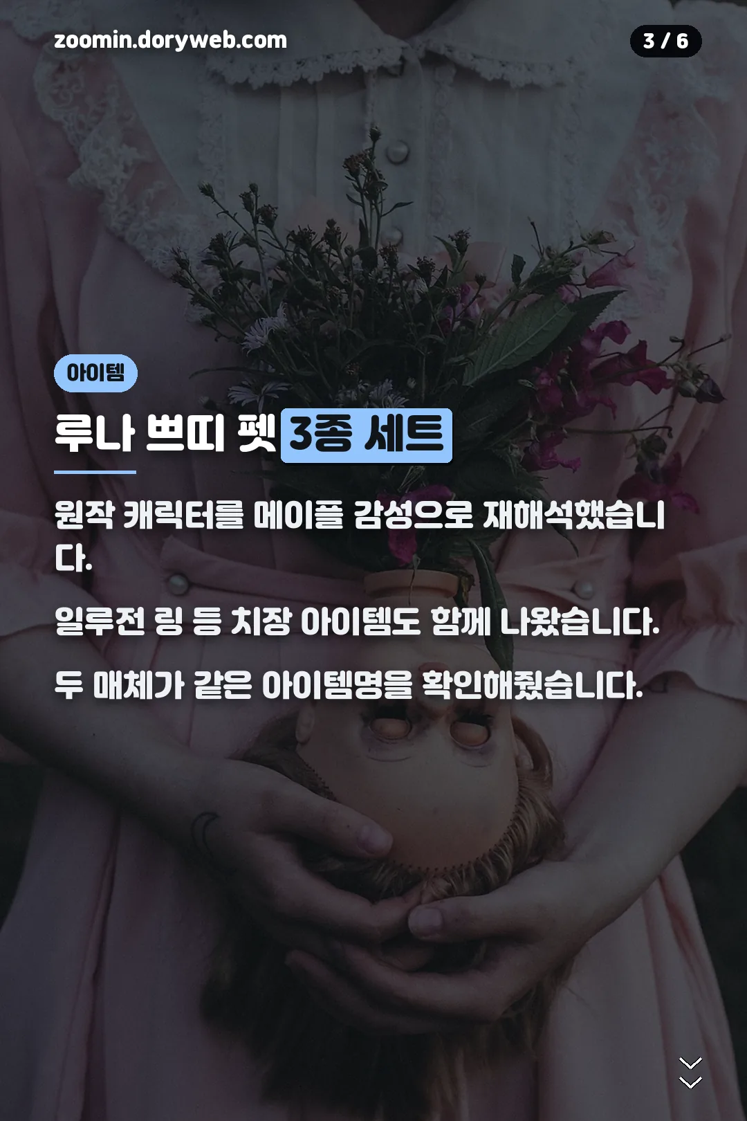 루나 쁘띠 펫 아이템