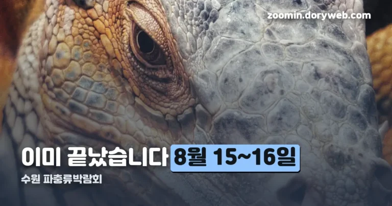 수원 파충류박람회 정리 썸네일