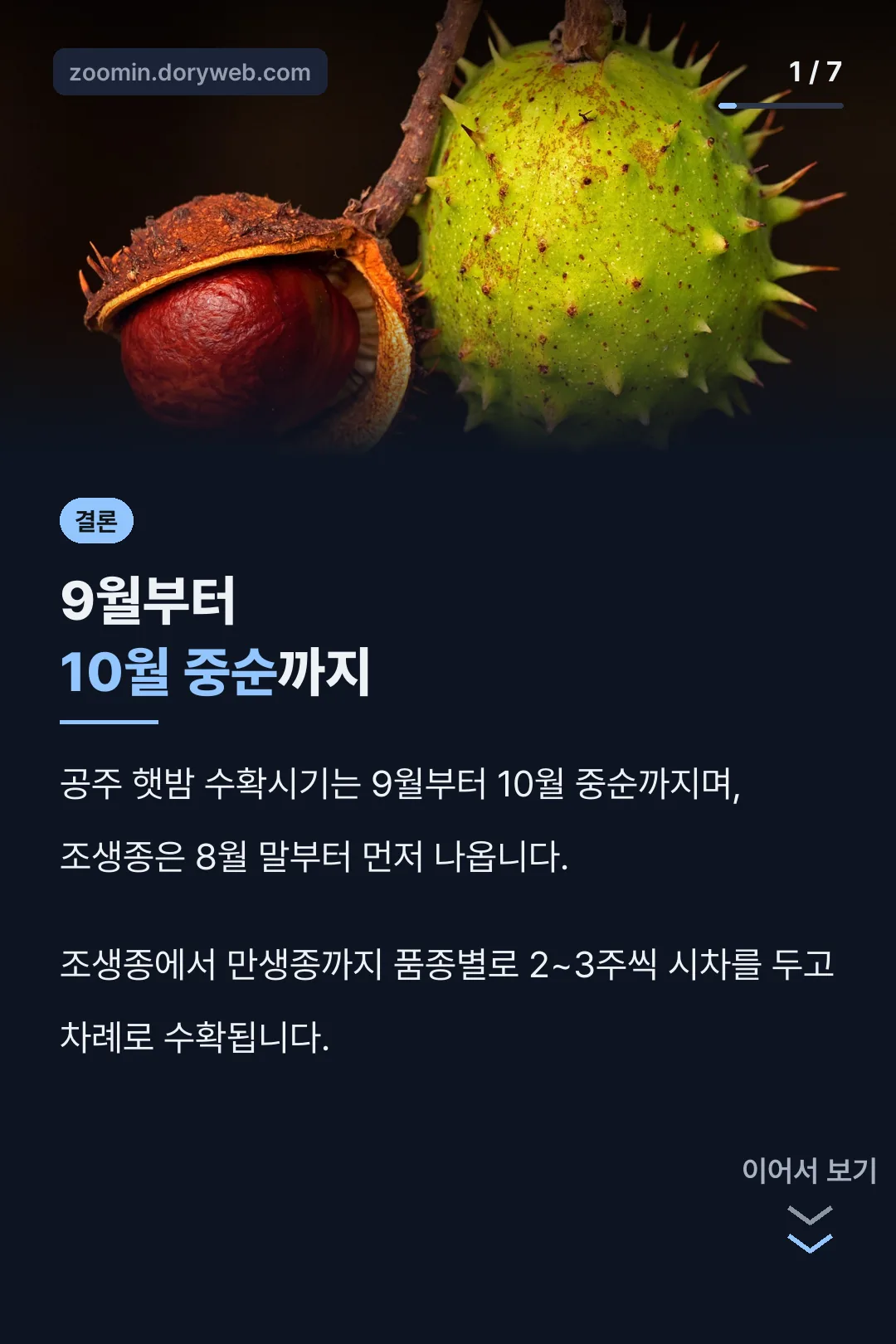 공주 햇밤 수확시기 결론