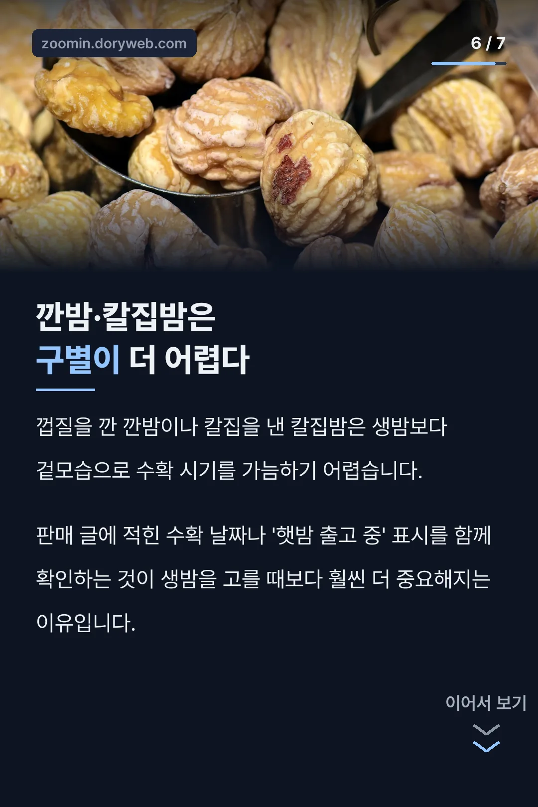 깐밤·칼집밤 구별