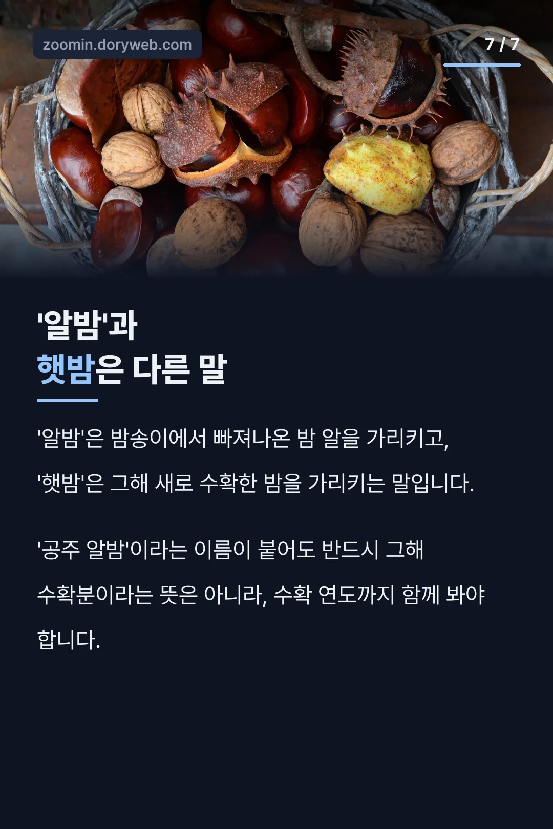 알밤·햇밤 용어 차이