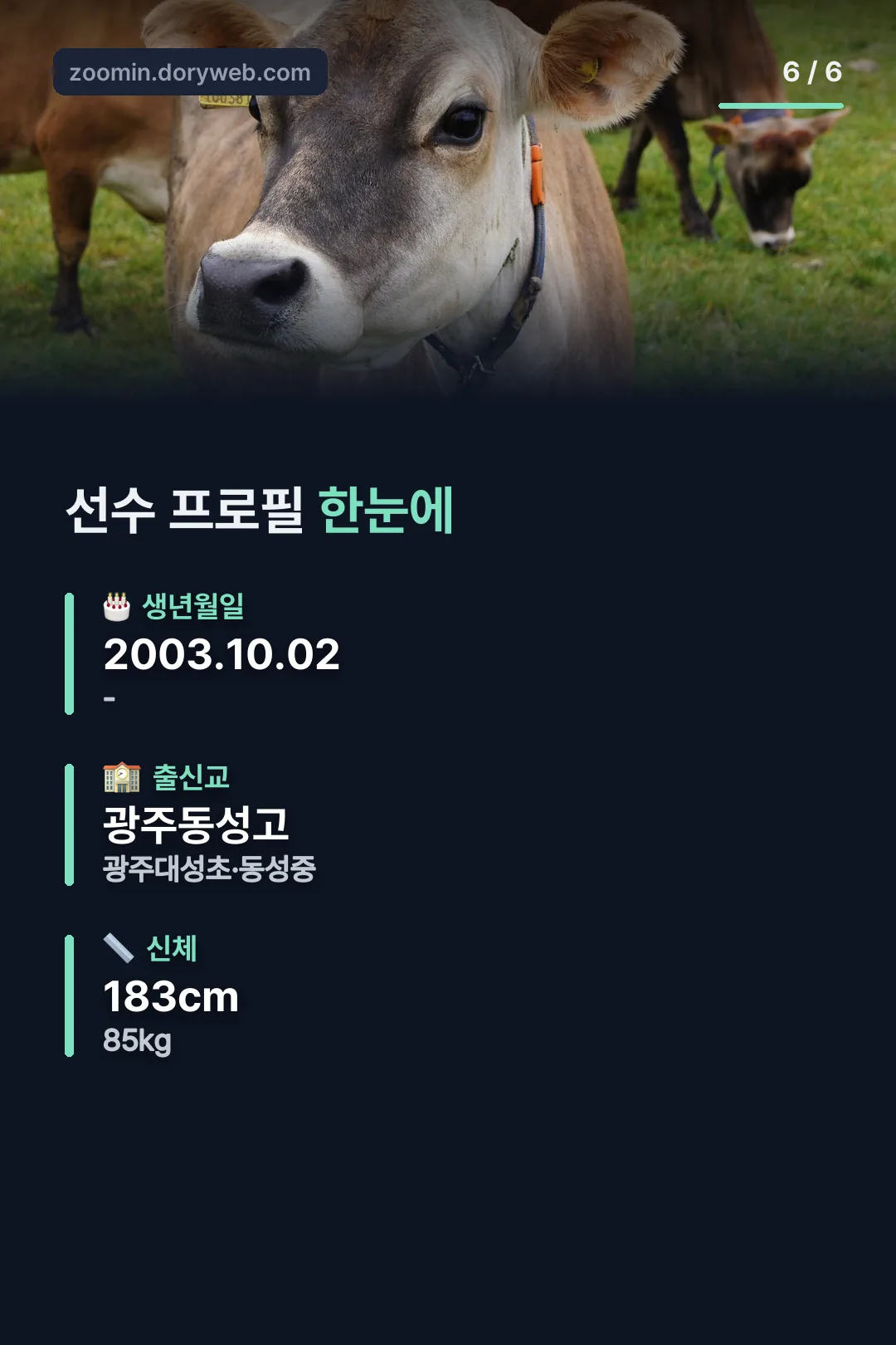 선수 프로필 요약