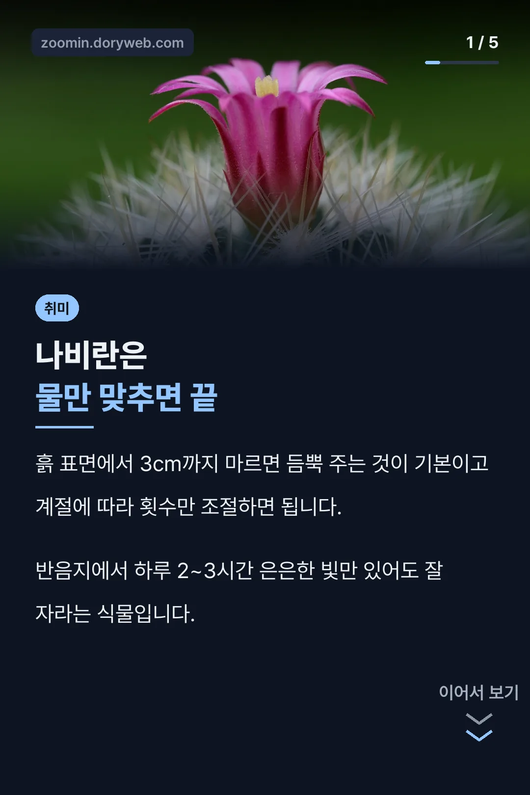 나비란 물만 맞추면 끝