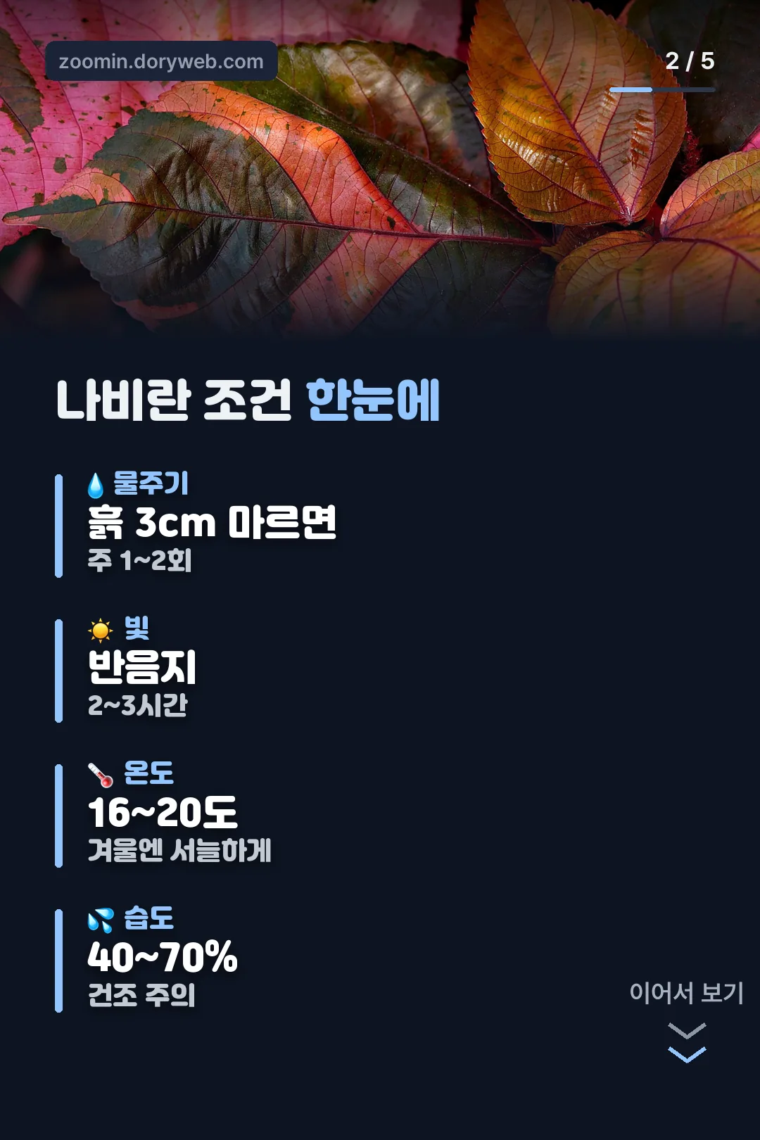 나비란 생육 조건