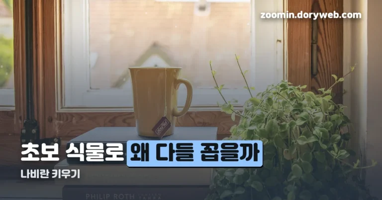 나비란 키우기 정리 썸네일