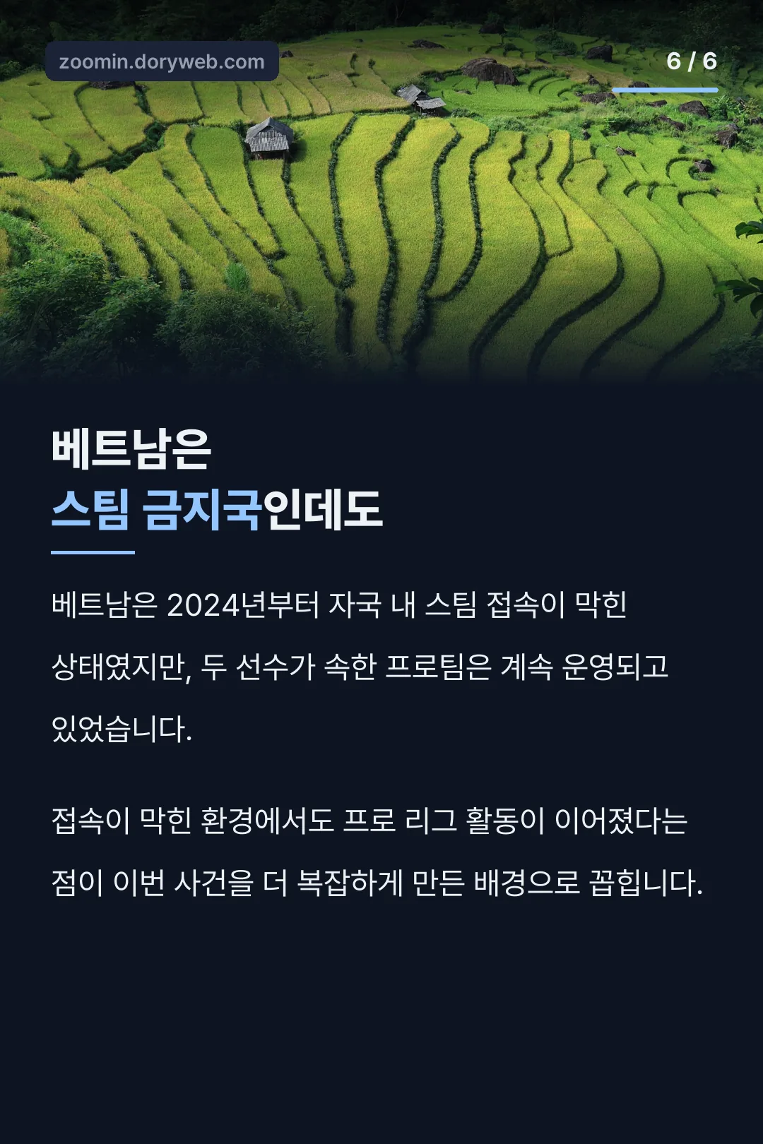 베트남 스팀 금지 배경