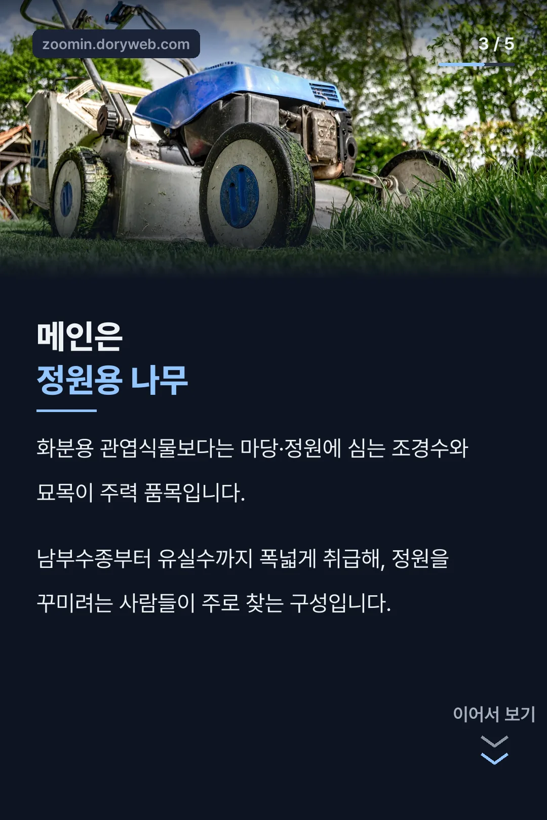 정원용 나무가 메인