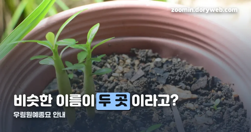 우림원예종묘 정리 썸네일